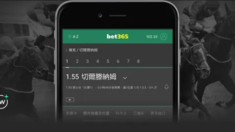 “2025赛季中国职业足球联赛参赛俱乐部名单全览”